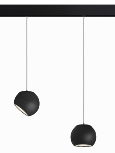 GLOBE P.png