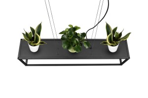 979900312dade18fb23451896b87f856