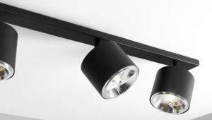 BOT 4 CEILING BLACK 3.png