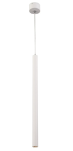 SCOP 012 1.png