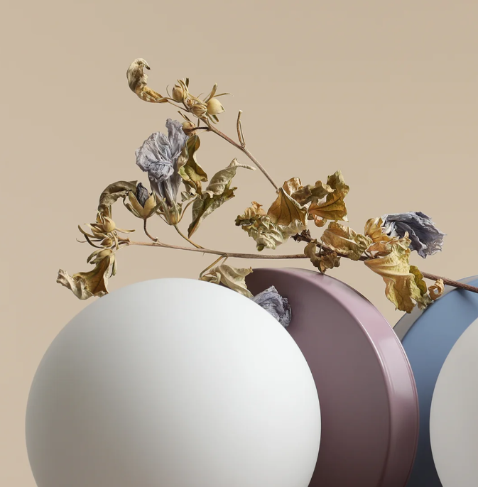 Zrzut ekranu 2023-05-06 111522.png