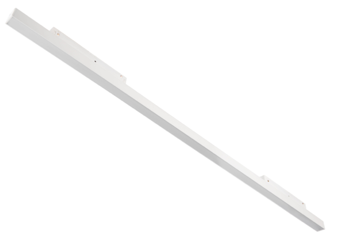 LINIA STRIPE 7.png